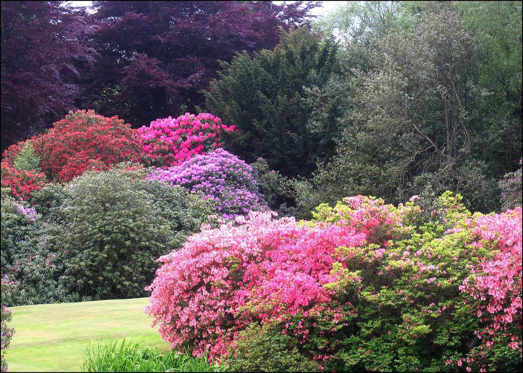 Additional image 20 of Eshwood Hall, Durham