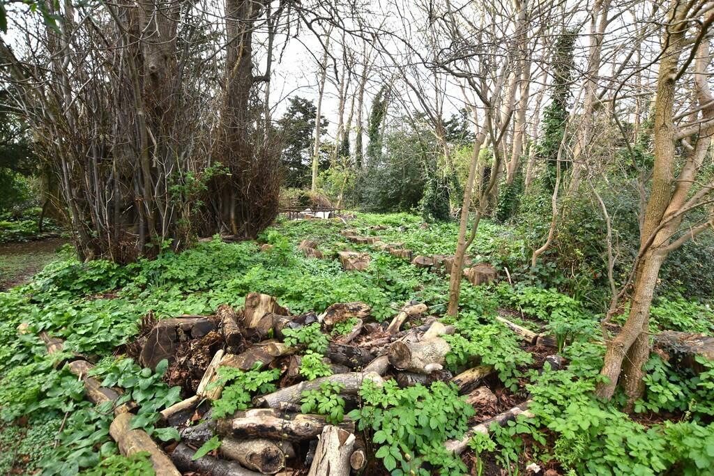 Additional image 9 of Streete Court, Westgate-on-Sea