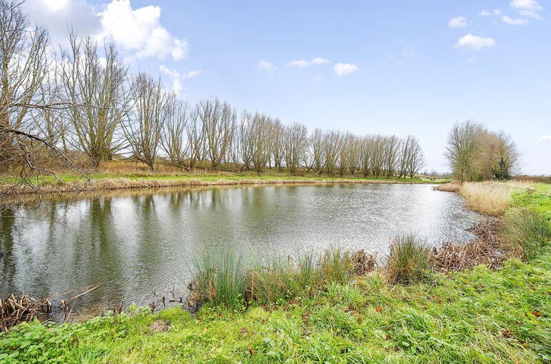 Additional image 13 of Ware, Ash