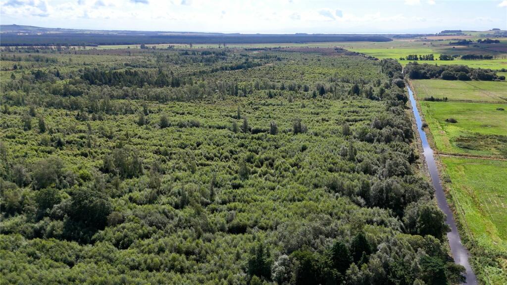 Additional image 16 of Fleet Forest, Fleet Forest, Dumfries, Dumfries & Galloway, South West Scotland, DG1