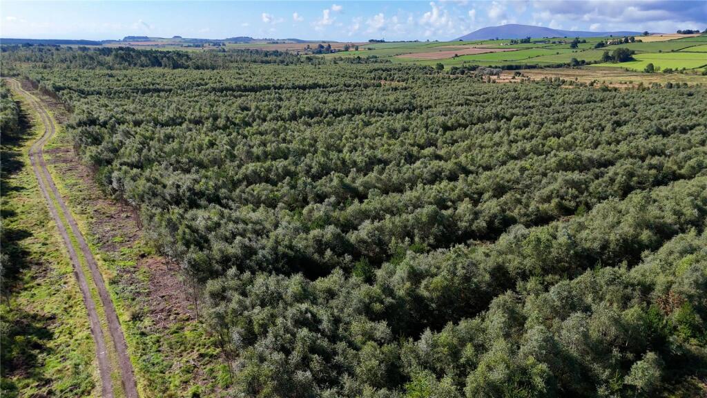 Additional image 27 of Fleet Forest, Fleet Forest, Dumfries, Dumfries & Galloway, South West Scotland, DG1