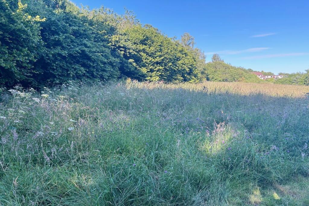 Additional image 5 of , 3.2 Acres at Challum Walk, Broughty Ferry, DD53UU