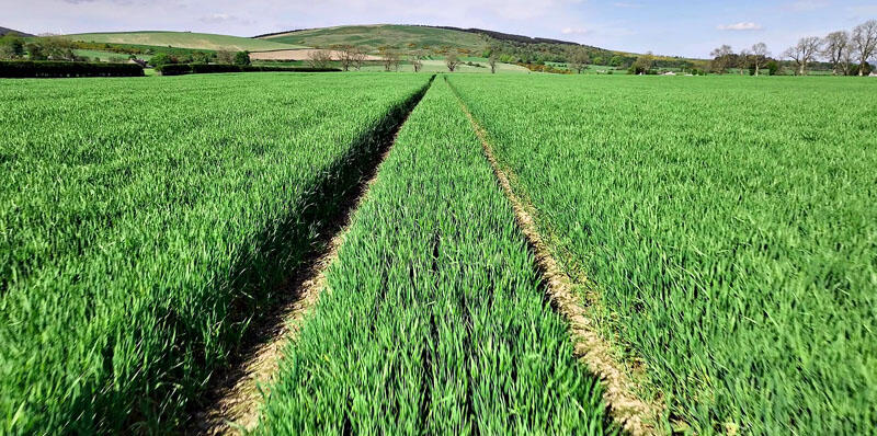 Additional image 13 of Townhead Farm Steading & Land