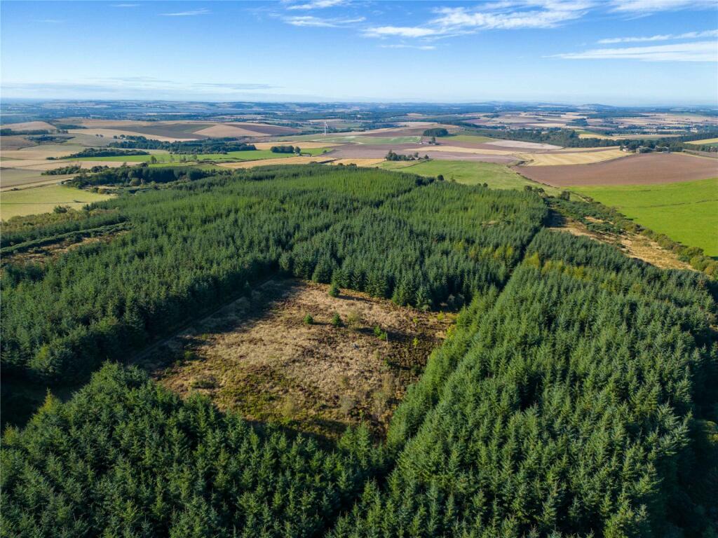 Additional image 5 of Brandshill, St Cyrus, Montrose, Aberdeenshire, DD10