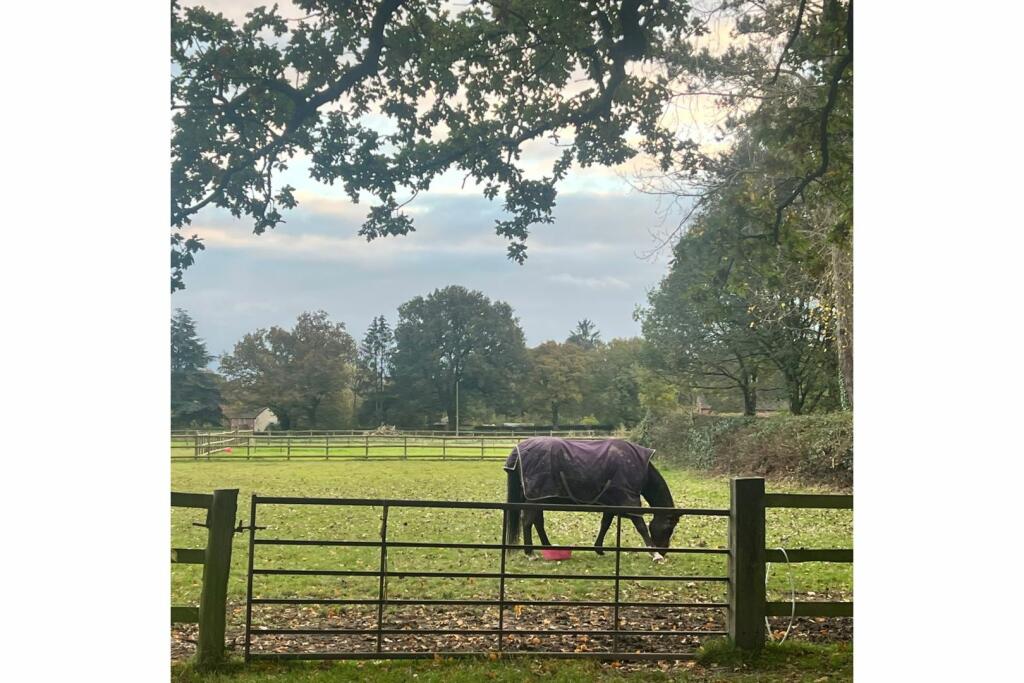 Additional image 22 of School Croft, Warwick, CV35