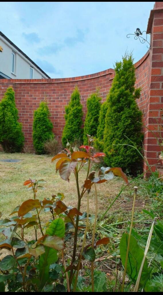 Additional image 41 of Hartley Close, Coventry, West Midlands, CV6