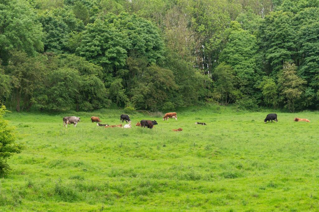 Additional image 54 of Stanton Mill, Main Road, Stanton-In-The-Peak, Derbyshire, DE4 2LW