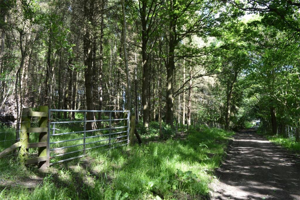 Additional image 4 of Woodland To The West Of Ebchester, New Wood, Newlands, Consett