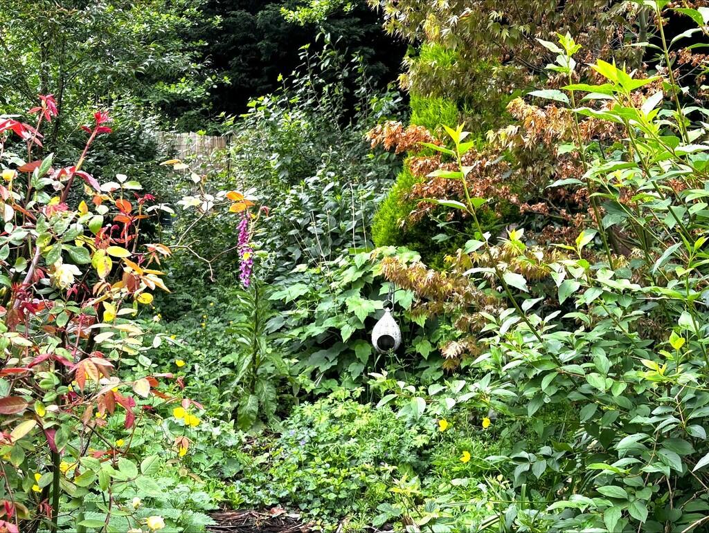 Additional image 11 of Pinfold Lane, Middlewich