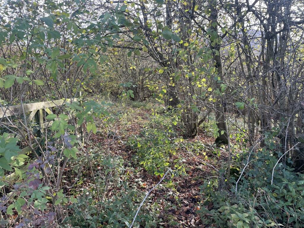 Additional image 4 of Lot 4, Ible, Grangemill, Matlock