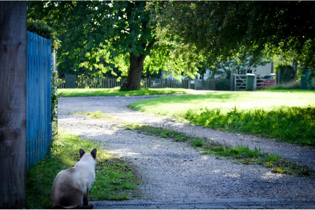 Additional image 19 of Minnis Lane, Canterbury, CT4