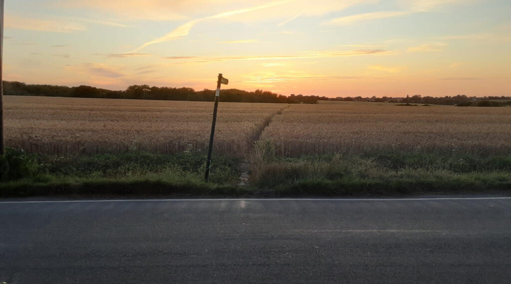 Additional image 31 of Maypole, Hoath, CT3