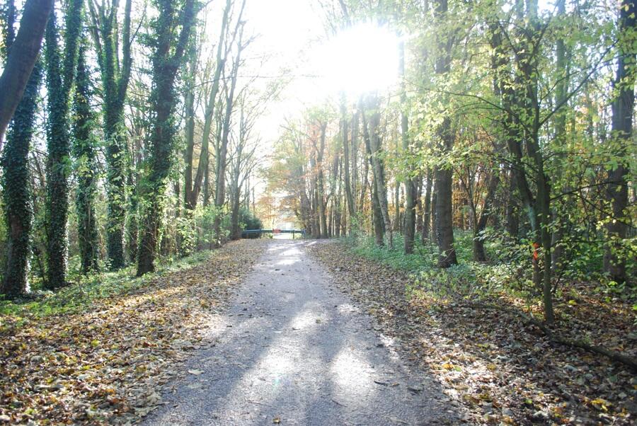 Additional image 14 of Plot D Shipley Lakeside, Pit Lane, Shipley, Heanor, Derbyshire