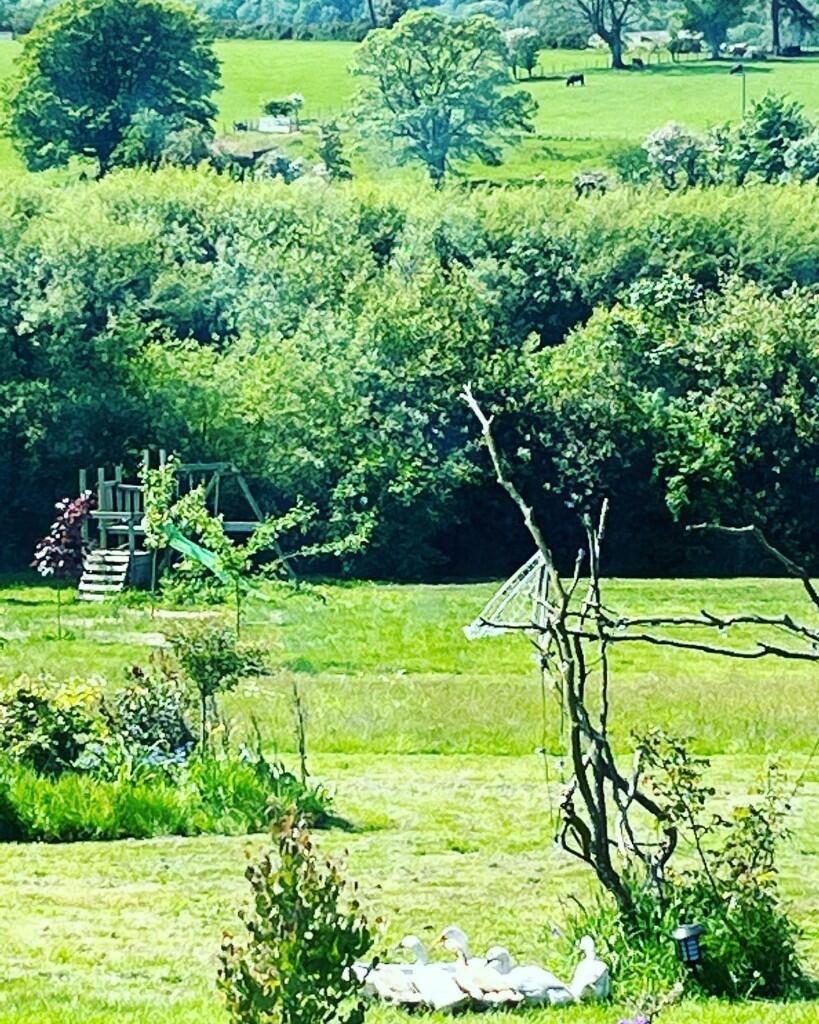 Additional image 41 of Beech View, High Road, Lockerbie, Dumfriesshire, DG11 1JS