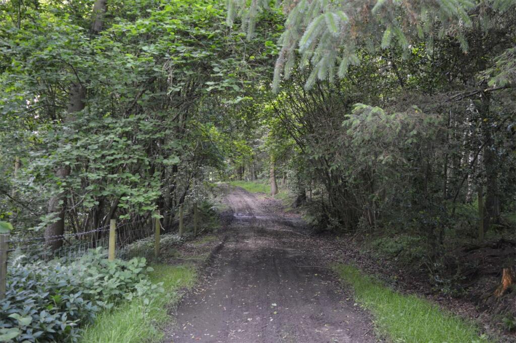 Additional image 6 of Woodland To The West Of Ebchester, New Wood, Newlands, Consett