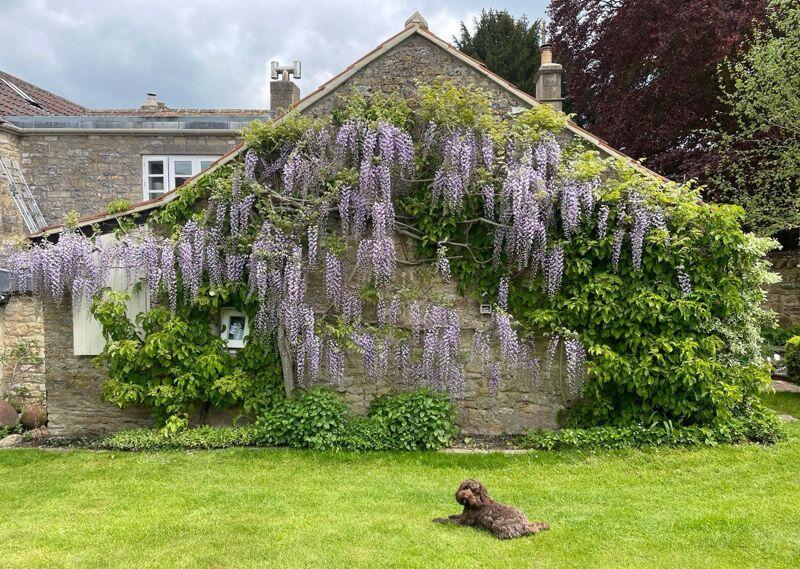 Additional image 42 of Church Cottage, Dunkerton, Bath