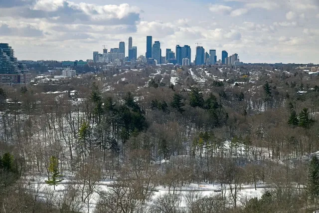 Additional image 23 of 30 Inn On The Park Dr Unit 1409