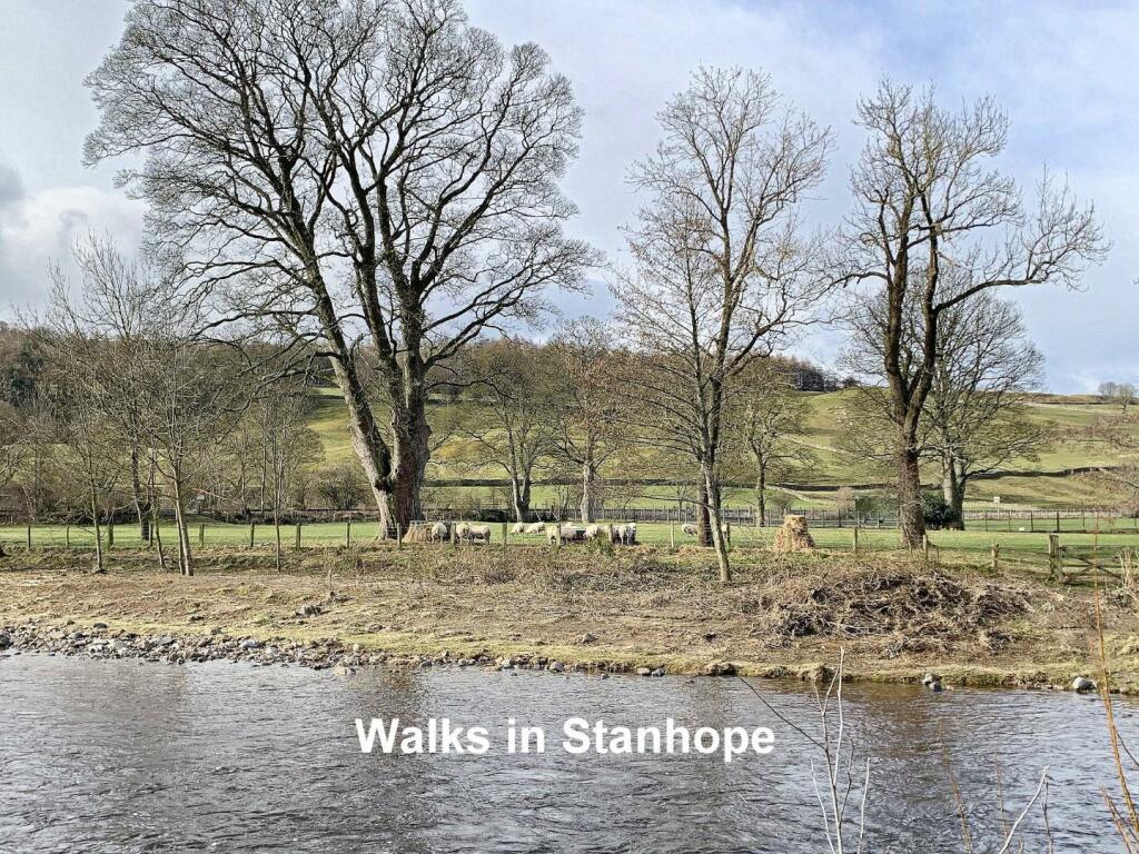 Additional image 15 of Eastcroft, Stanhope, Weardale