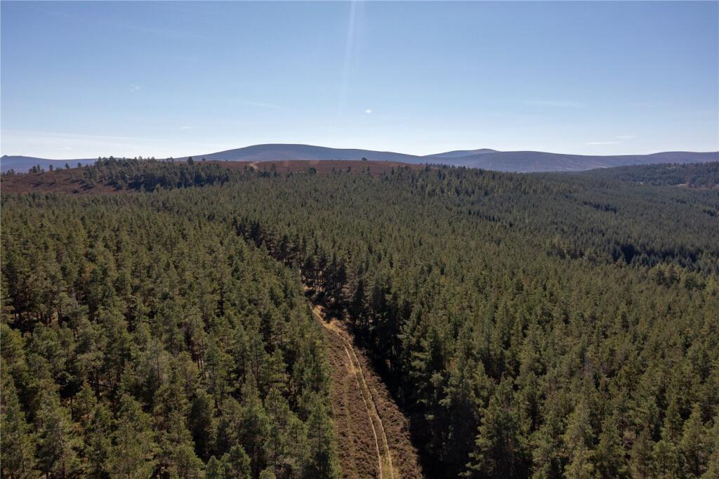 Additional image 12 of Arntilly Wood, Banchory, Aberdeenshire, AB34