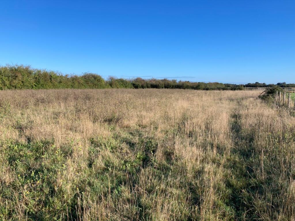 Additional image 2 of 0.96 acres of Land north of Iram Drove, Willingham, Cambridgeshire, CB24 5HZ