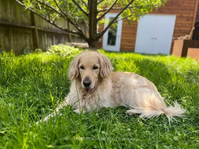 Additional image 37 of 198 Major St