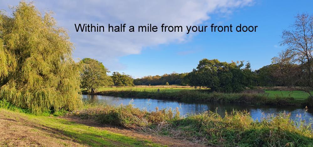 Additional image 13 of Station Terrace, Wimborne, BH21 1RF