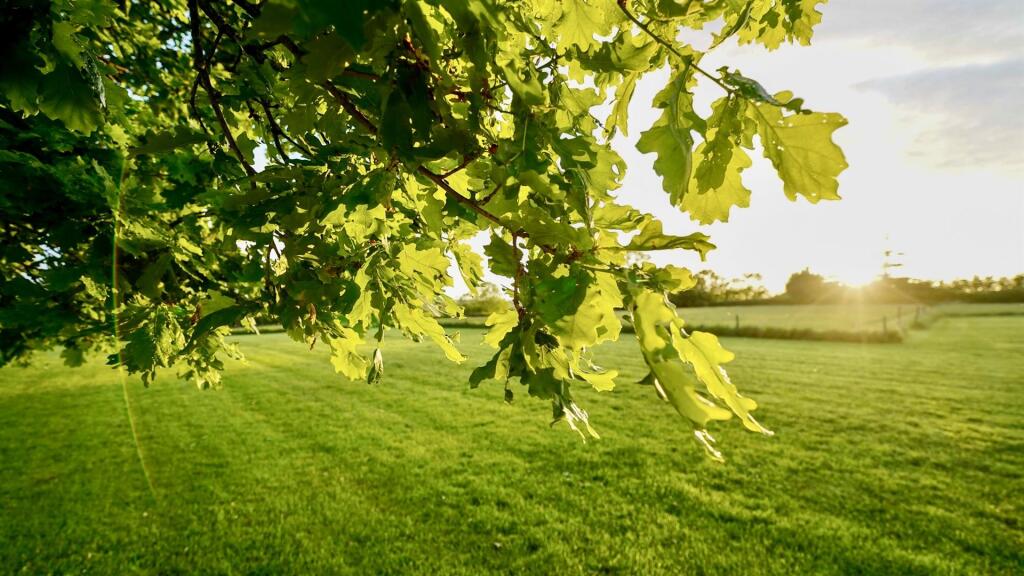 Additional image 36 of Clewer, Wedmore