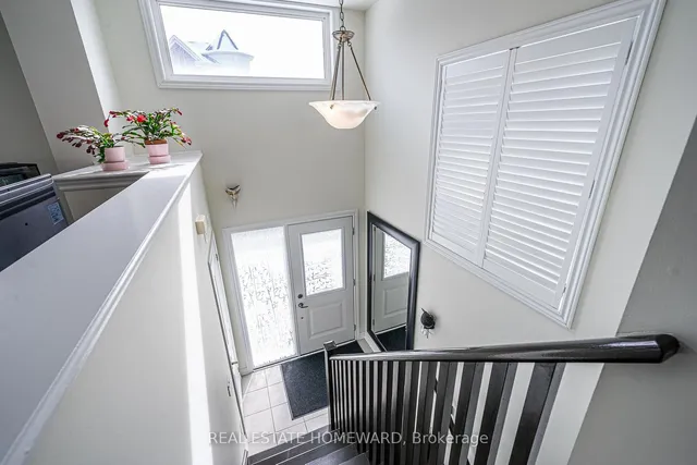 Additional image 6 of 20 Coneflower Cres