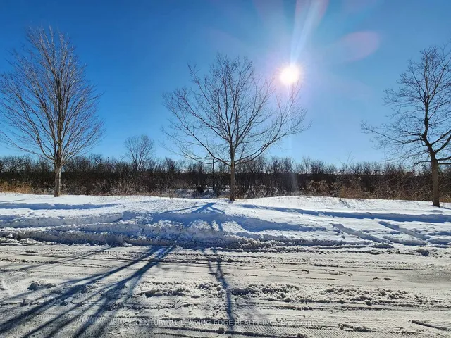 Additional image 26 of 146 Gristone Cres