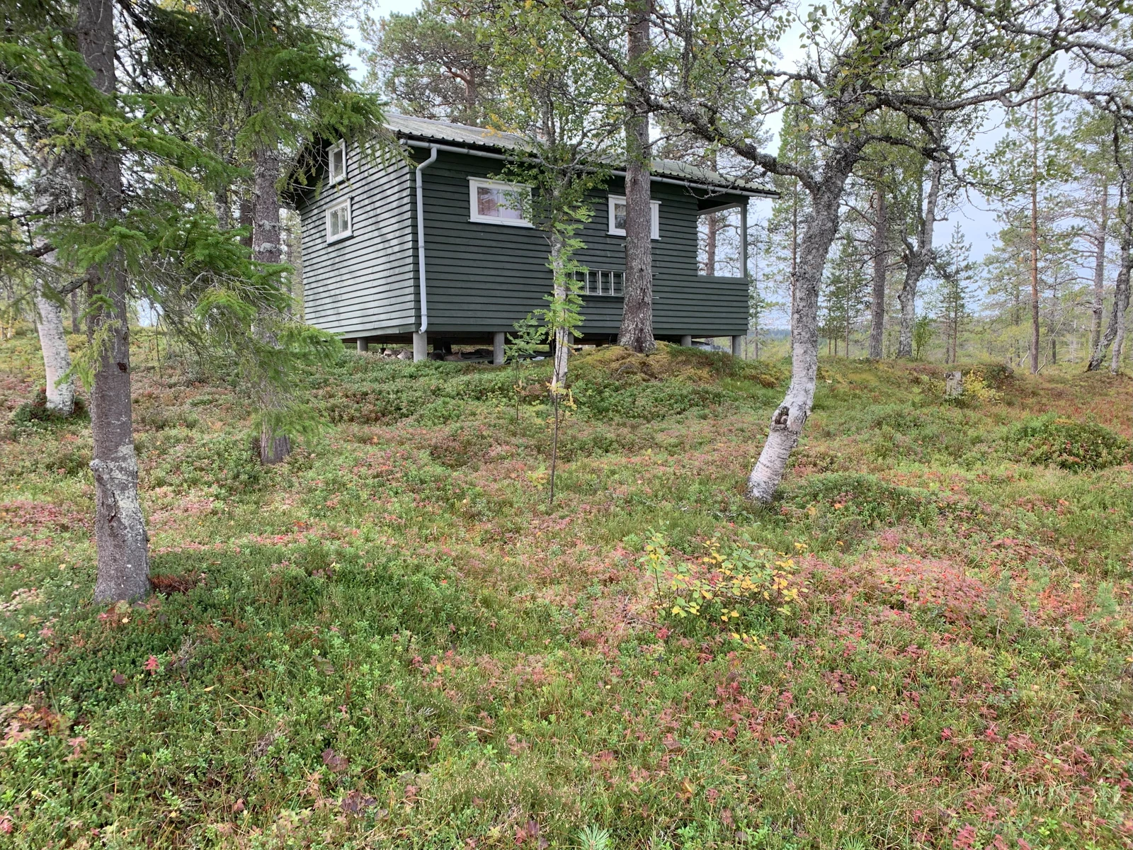 Additional image 3 of Langvassvegen 400J, 8658 Mosjøen