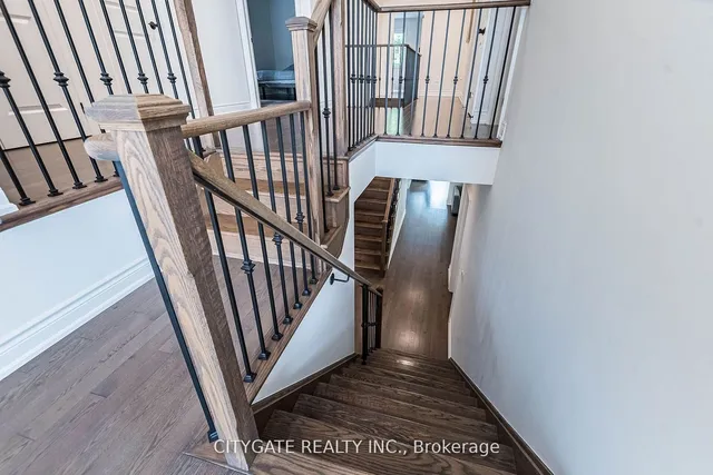 Additional image 26 of 44 elysian fields Circ