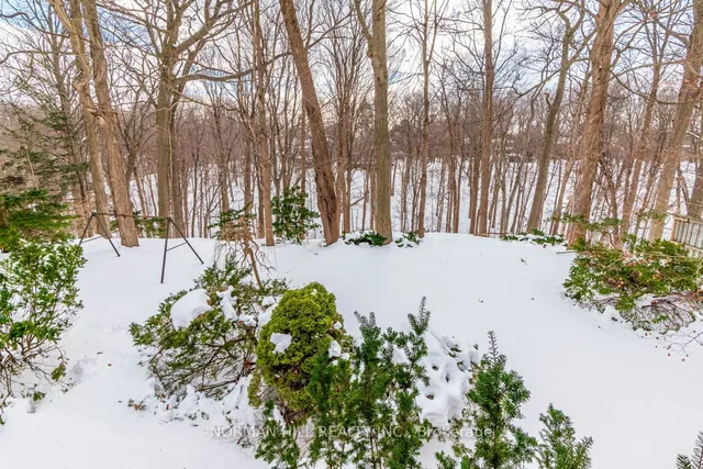 Additional image 3 of 49 Timberlane Dr