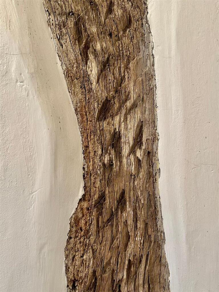 Additional image 6 of The Square, Axbridge