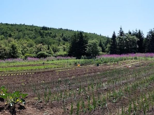 Additional image 4 of 3134 Shore Rd, Margaree Harbour, NS B0E 2B0