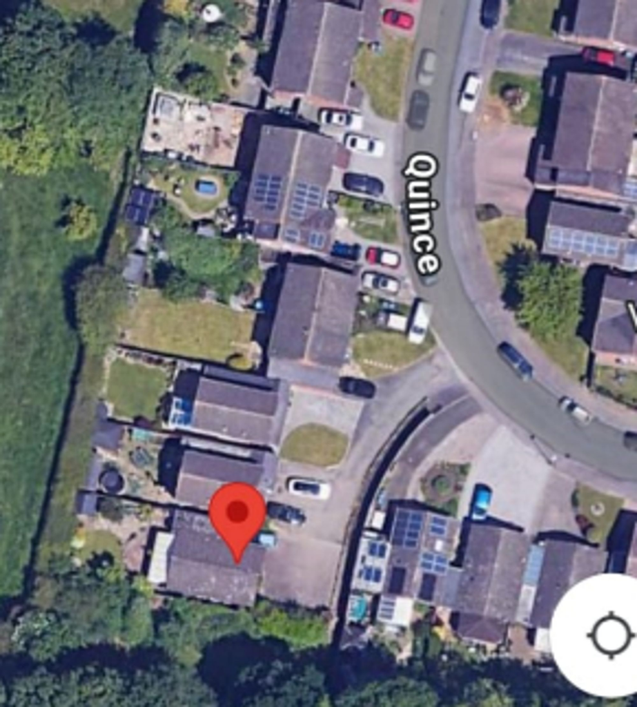 Additional image 22 of Quince, Tamworth, B77