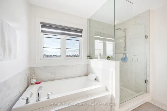 Additional image 29 of 1326 Raspberry Terr