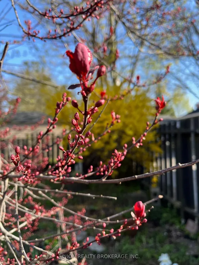 Additional image 21 of 101 Swanwick Ave