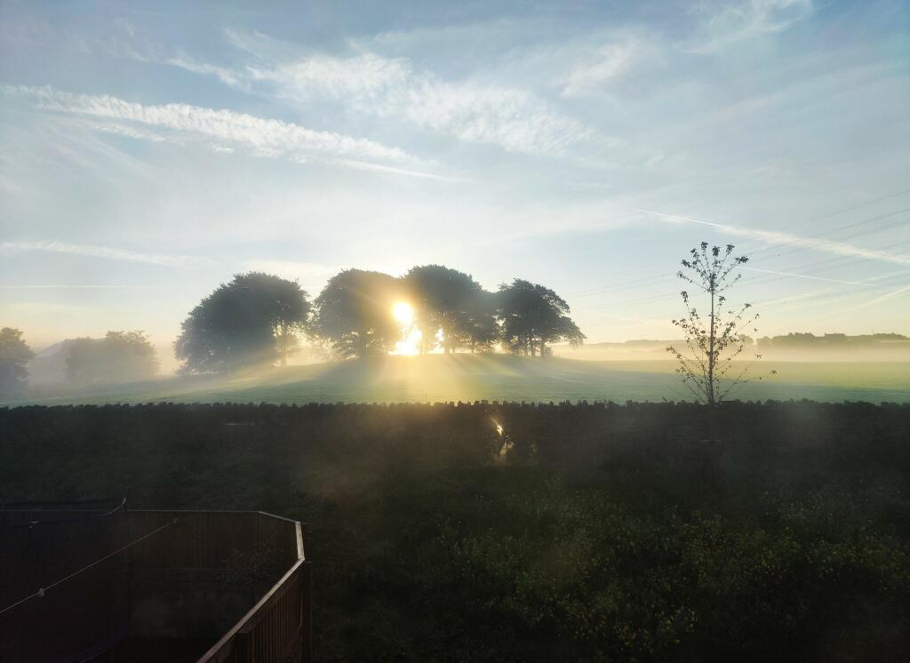 Additional image 18 of Wood Avens Close, Fensiscowles, Blackburn