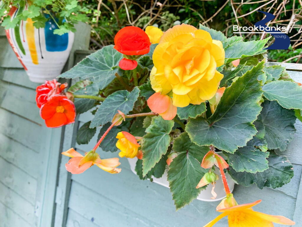 Additional image 29 of Hibbs Close, Swanley, Kent, BR8