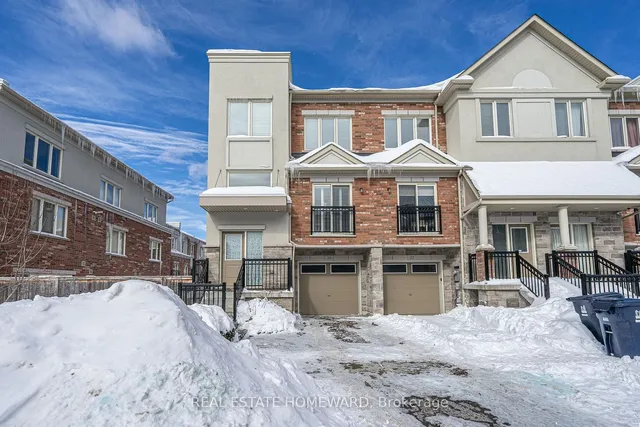 20 Coneflower Cres
