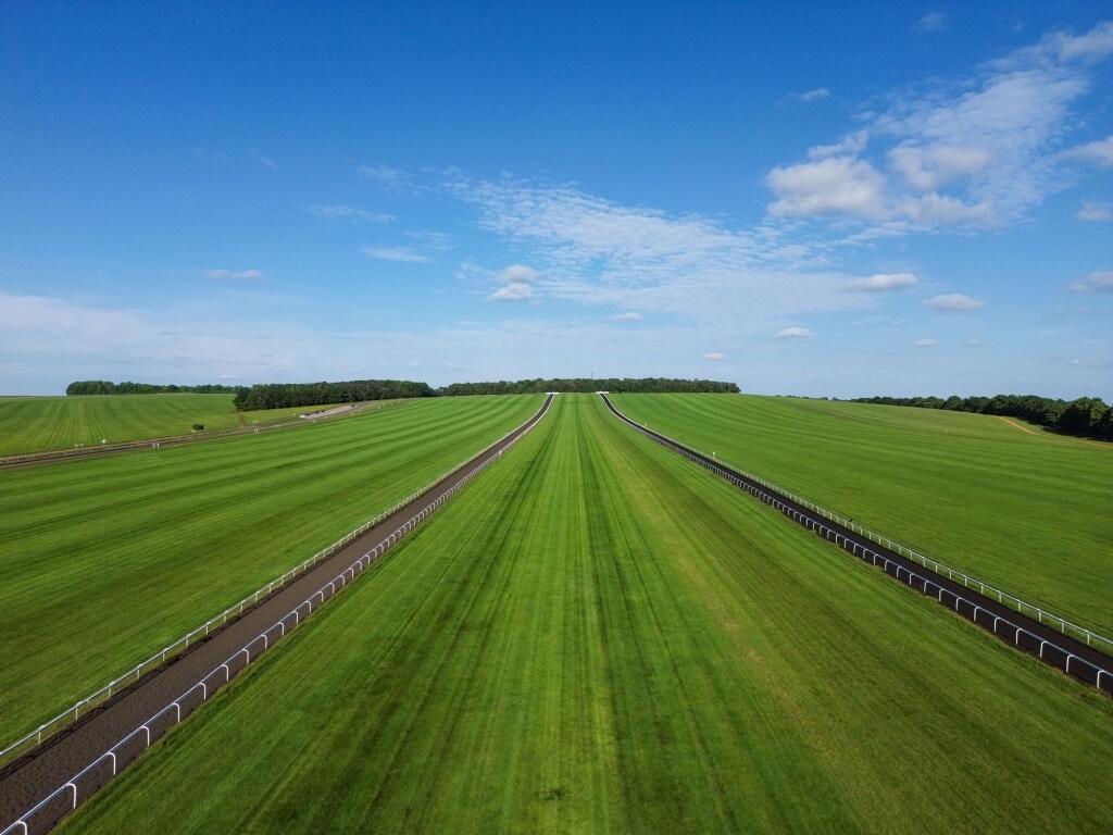 Additional image 11 of Peel House, Newmarket