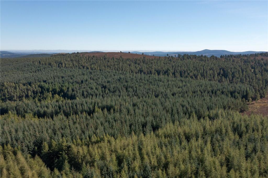 Additional image 4 of Arntilly Wood, Banchory, Aberdeenshire, AB34