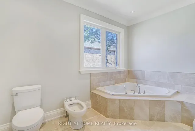 Additional image 23 of 1 Geranium Crt