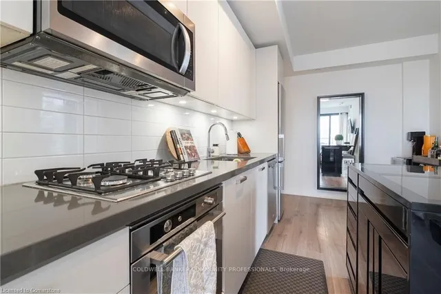 Additional image 11 of 55 Ontario St Unit 1509