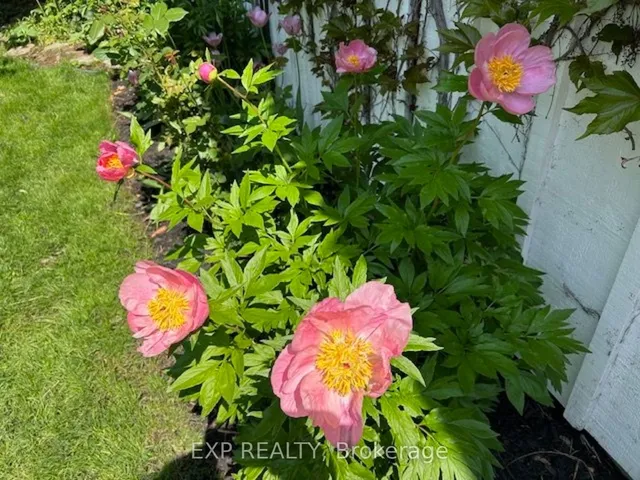 Additional image 34 of 71 Mill St