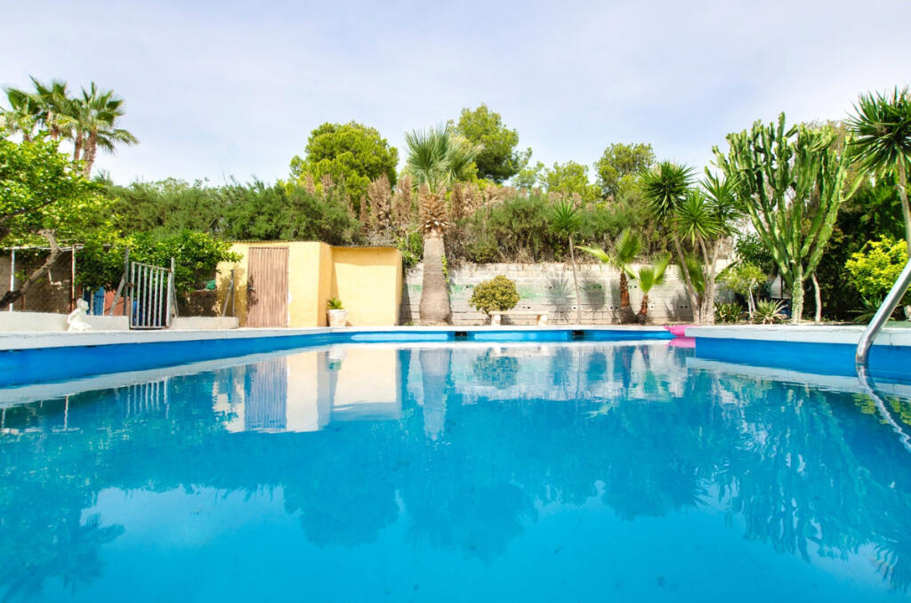 Primary image of Valencia, Alicante, Crevillente, Spain