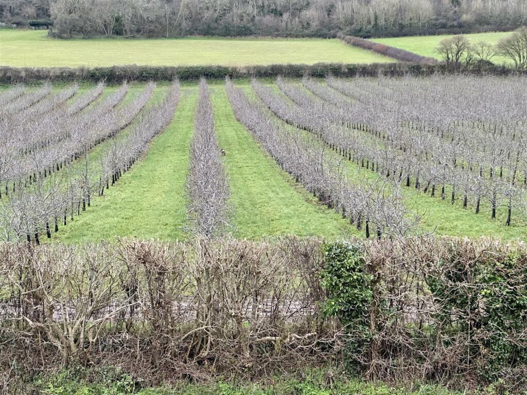 Additional image 40 of Church Lane, Compton Bishop, Axbridge