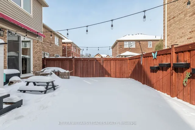 Additional image 35 of 3 Berberis Cres