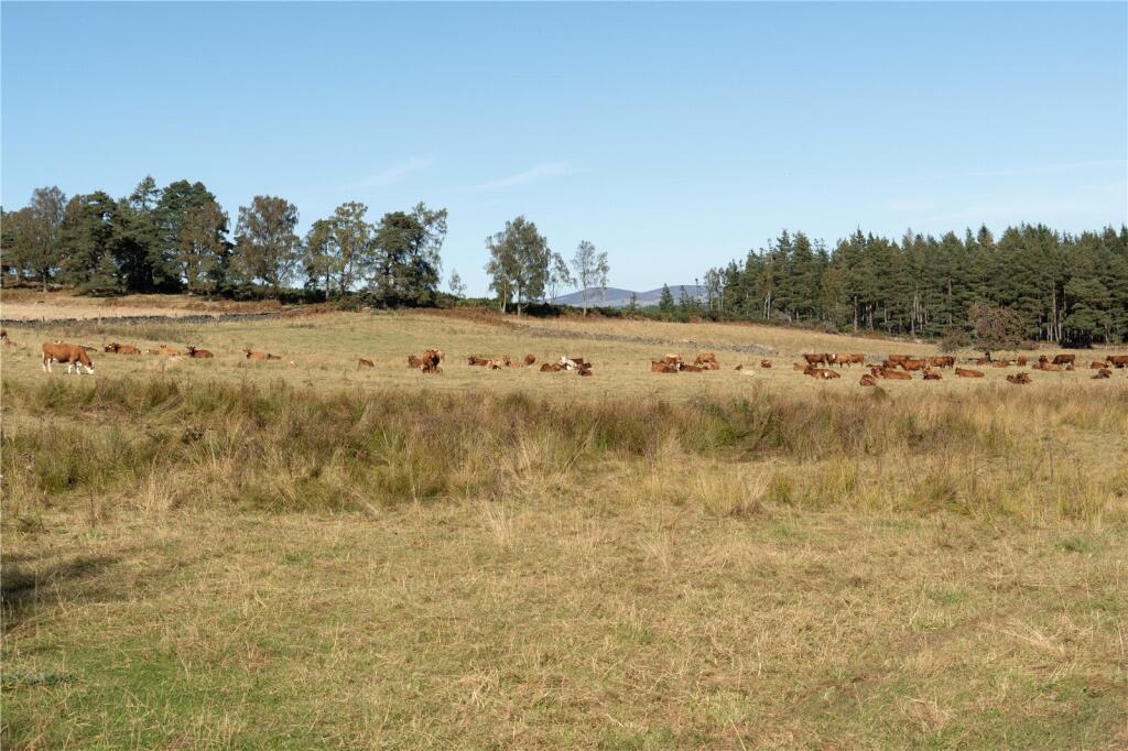 Additional image 8 of Arntilly Wood, Banchory, Aberdeenshire, AB34