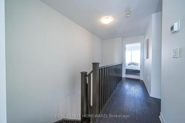 Additional image 22 of 20 Coneflower Cres